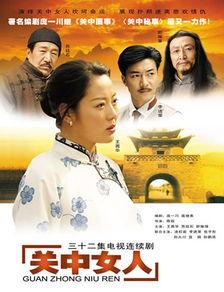 电视剧关中女人,岁月流转中的坚韧与柔情