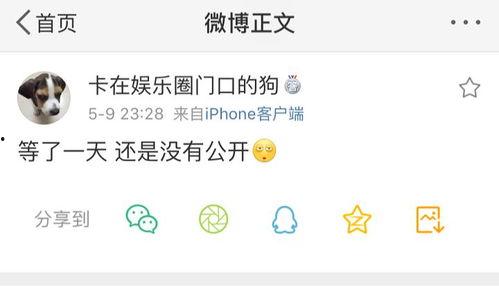 爆料吃瓜微信,吃瓜群众热议“爆料吃瓜微信”背后的真相