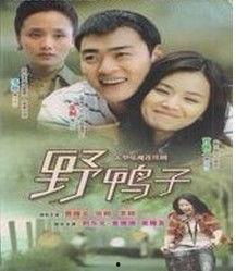 野鸭子2电视剧全集,续写亲情与成长传奇